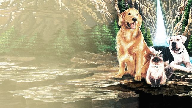 Banner for Homeward Bound Collection